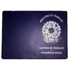 Porta profissional