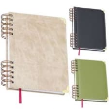 Agenda Baldwin